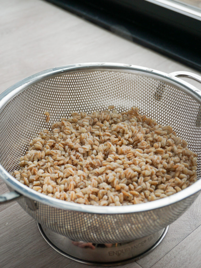 Cooked farro in strainer for farro salad with radicchio, root vegetables, and pomegranate