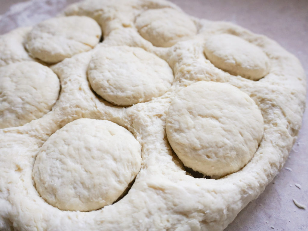 Scone cutouts in dough