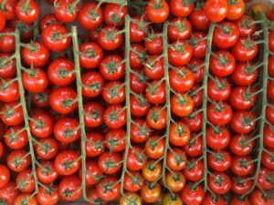 cherry tomatoes at the market in Aix-en-Provence