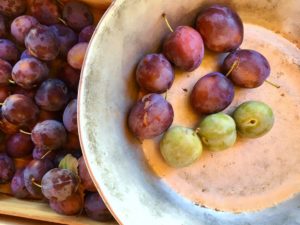 Plums and reine claudes at the markets in Frances