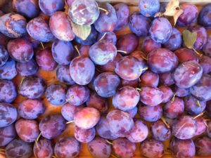 Purple plums at market in France
