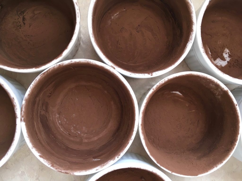 ramekins lined with cocoa powder