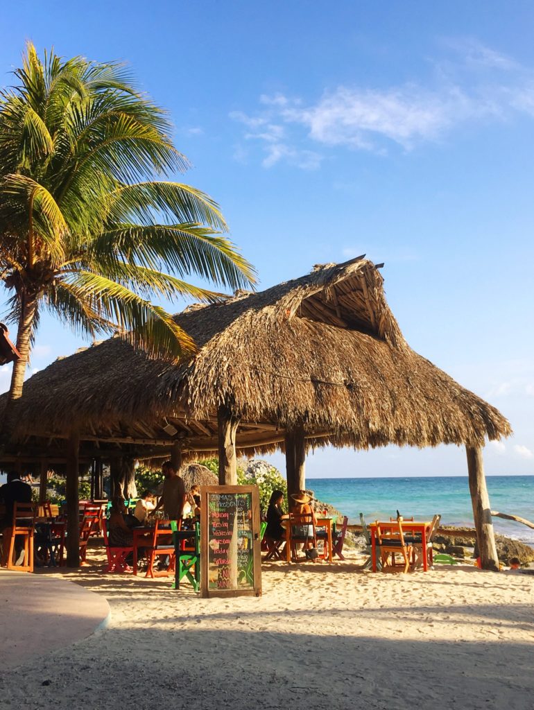 Zamas Tulum restaurant with beach, palm tree, and ocean view