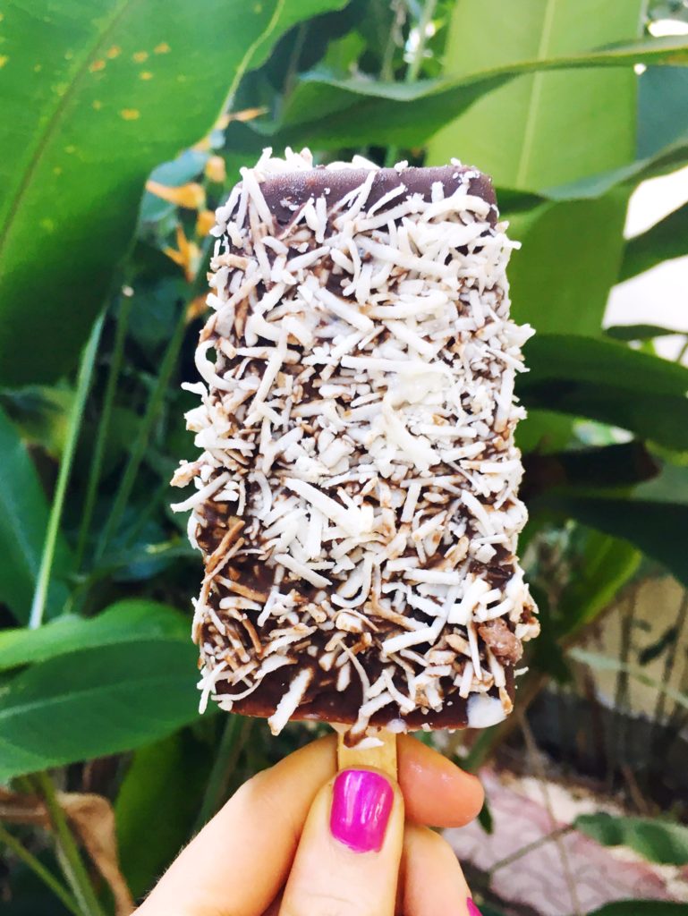 Esquimo coco paleta up against green leaves in Flor de Michoacan