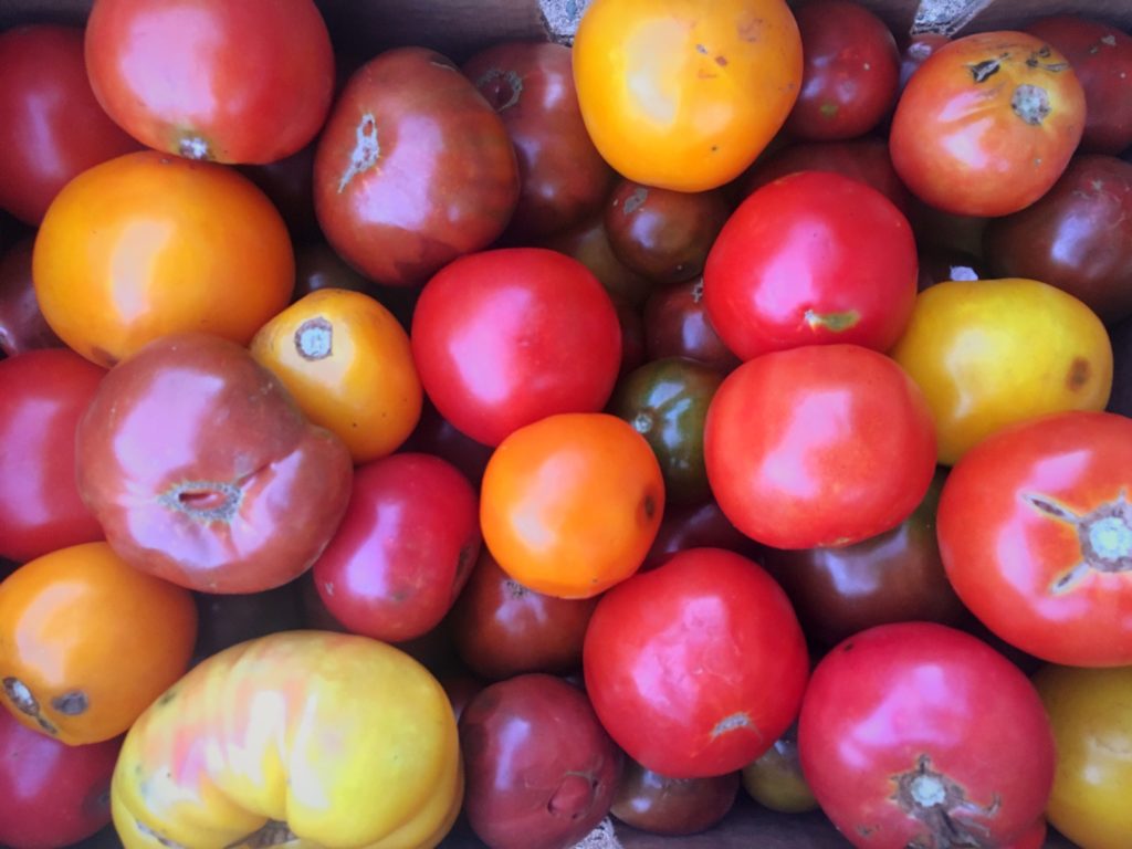 Box of tomatoes from Charlottesville farmers market