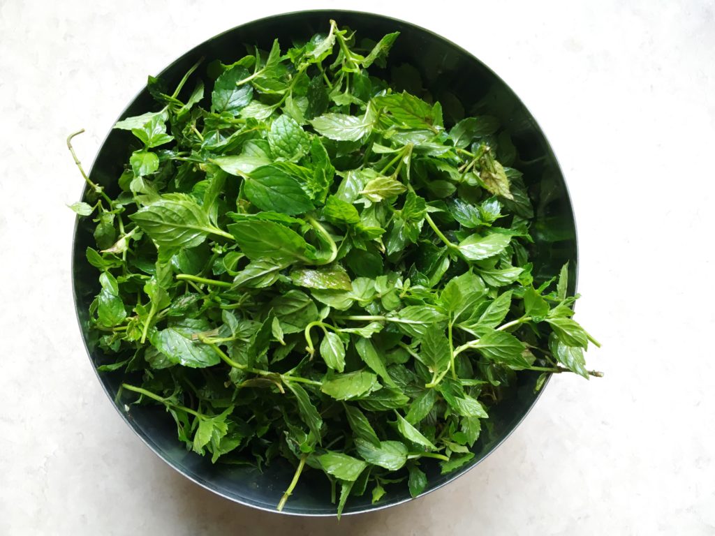 Mint leaves in stainless steel ikea bowl